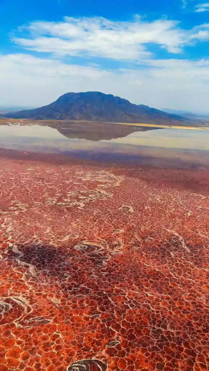 Lake Natron: The World’s Most Unusual Red Lake