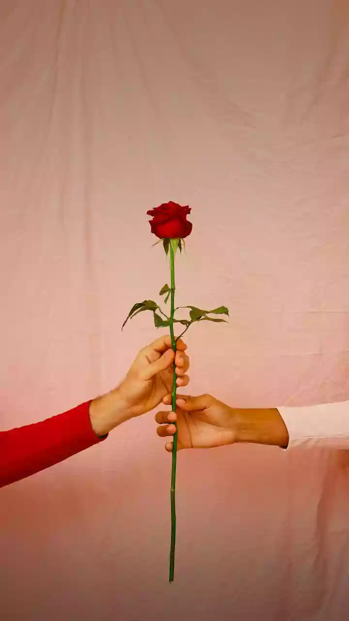 8 hábitos que casais emocionalmente inteligentes fazem todos os dias