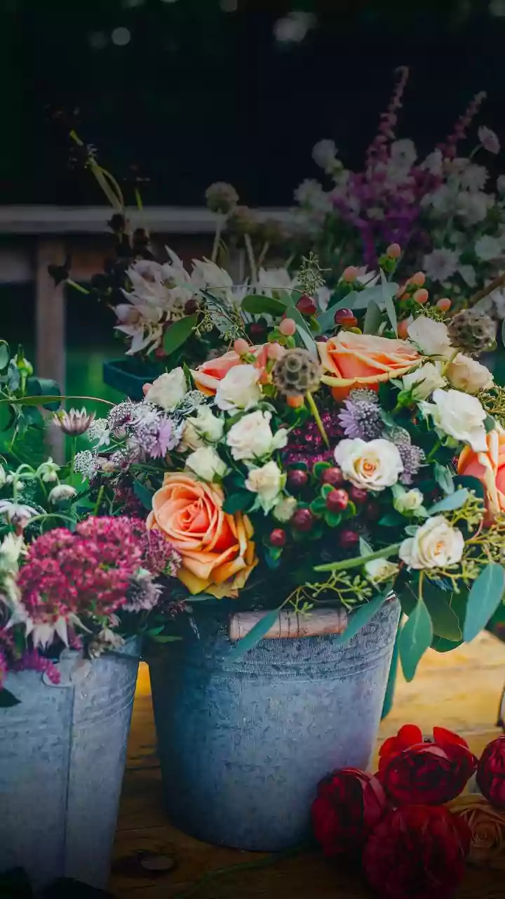 Visiting a florist? Follow these etiquette tips