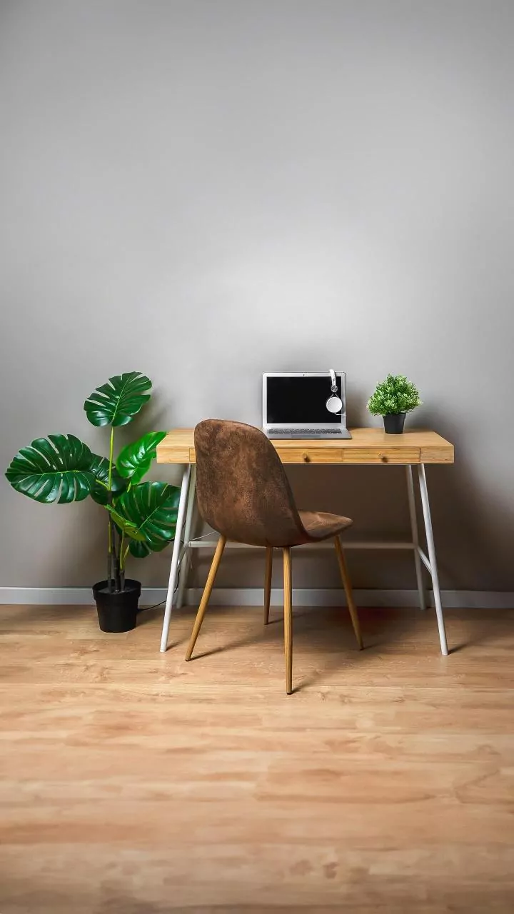Latest Study Highlights The Best Way To Think About Indoor Plants And Clean Air