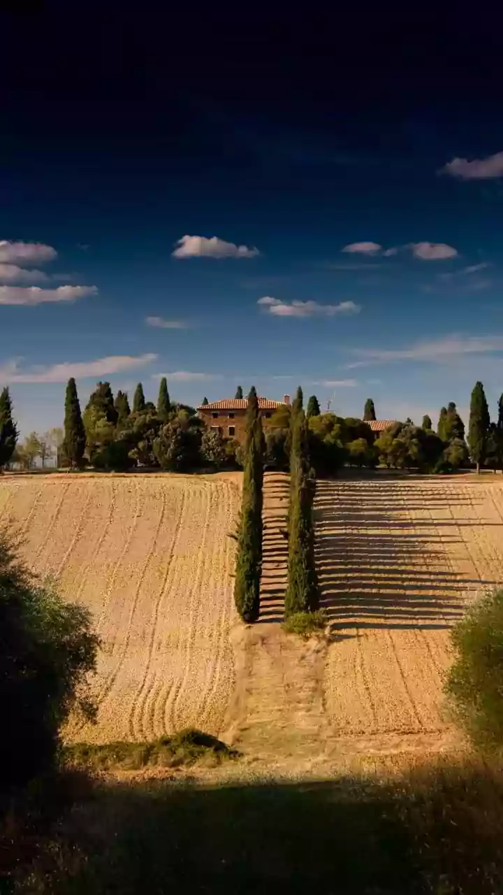 ‘Eu & Você na Toscana’ é para quem gosta de novelinhas de frutas por IA