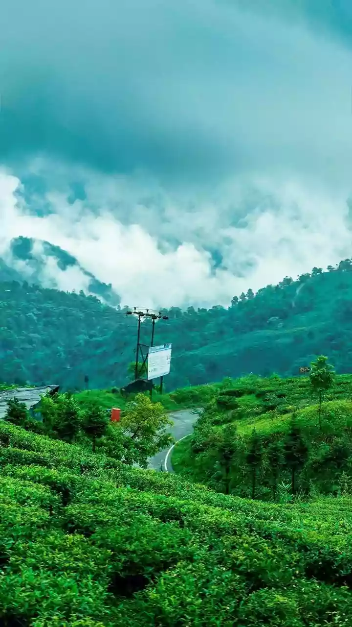 Private Glamping Domes In Munnar Overlook Misty Plantation Trails