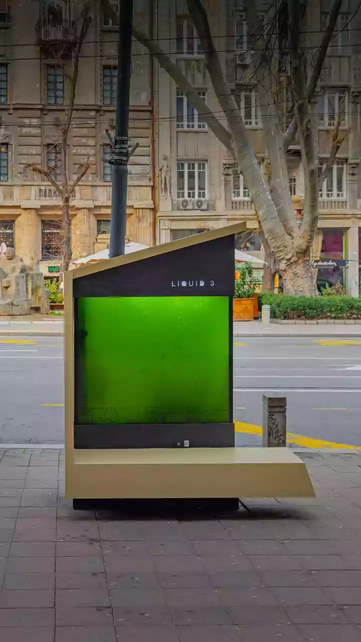 Outdoor Libraries Can Make Public Space More Welcoming across Ages
