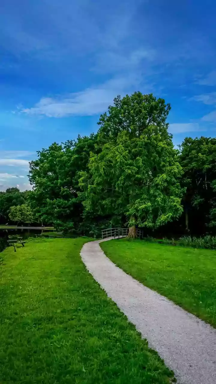 These scenic riverside trails in Vienna are truly worth exploring