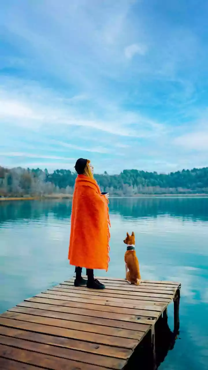 How to Plan a Holiday With a Pet That Is Not Comfortable Around Crowds