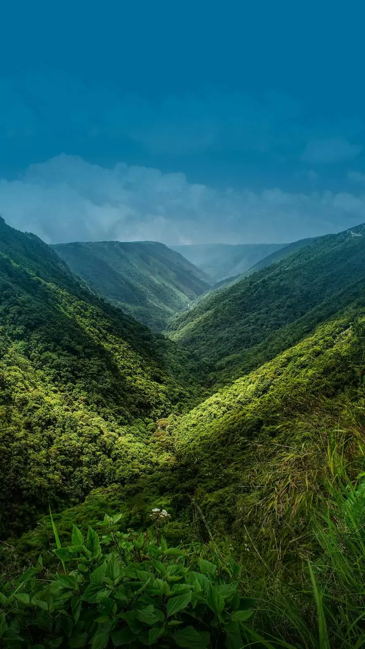 Shillong's air is cleaner than ever—AQI drops to just 10!