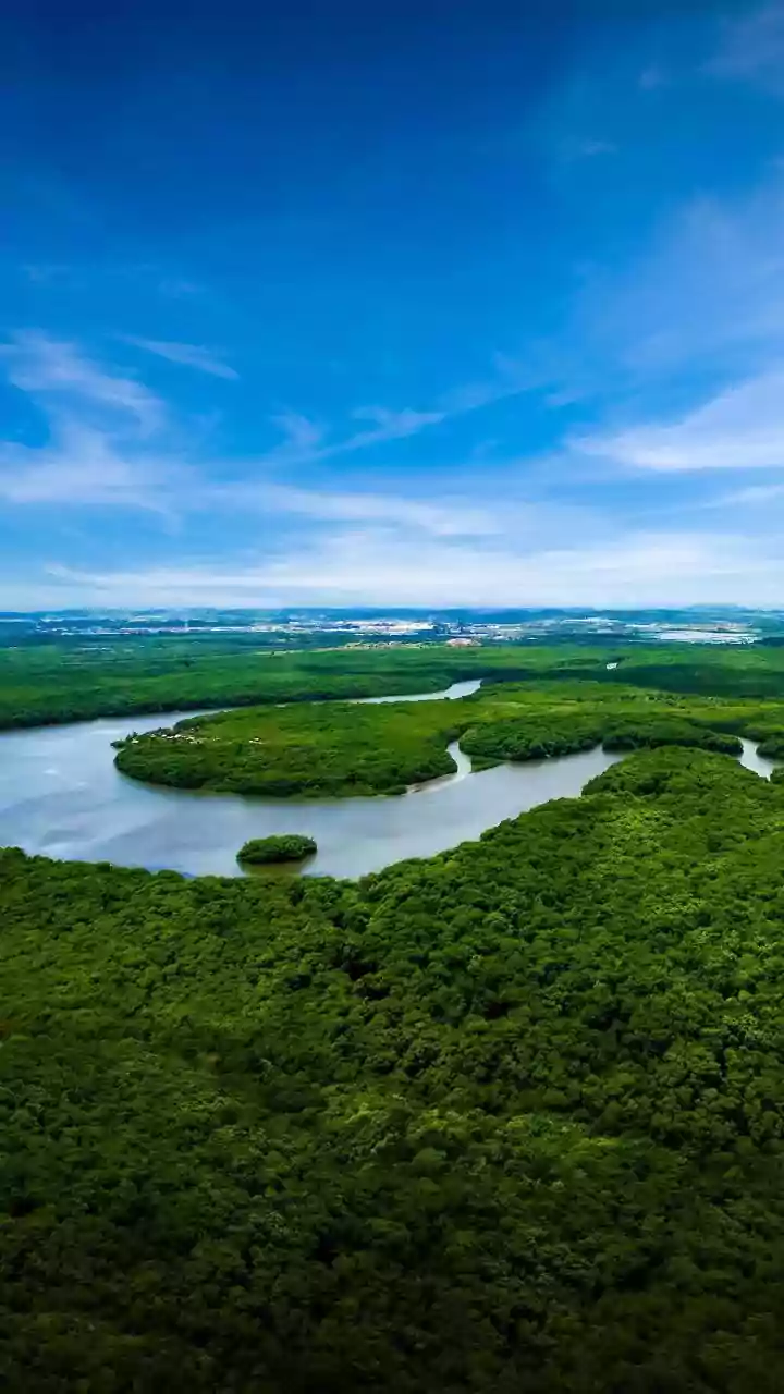Raro: ilha pequena no Rio Paraná gira em torno do seu próprio eixo