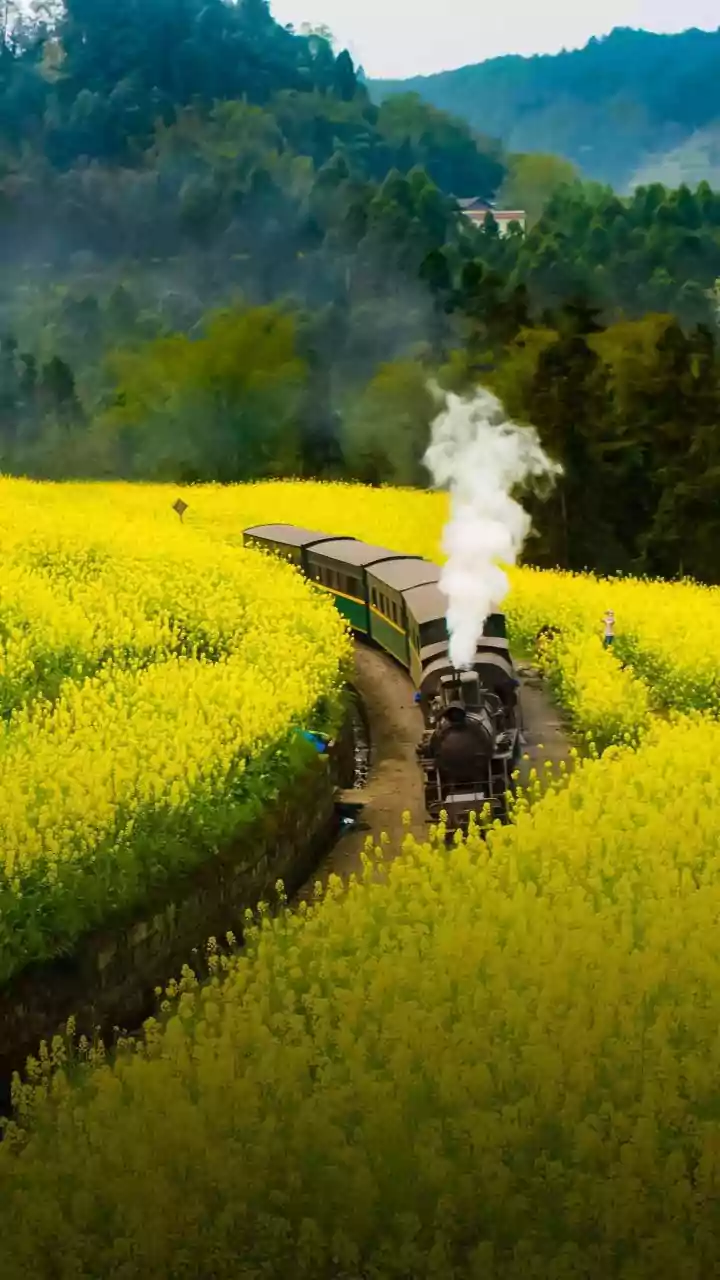Monsoon Train Travel Becomes Easier When You Pack These Useful Items