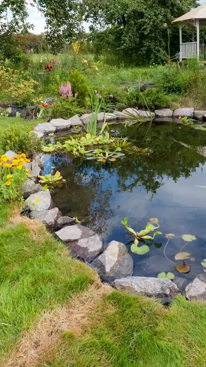 The Low-Water Gardening Shift Makes Water-Smart Garden Design Worth Considering