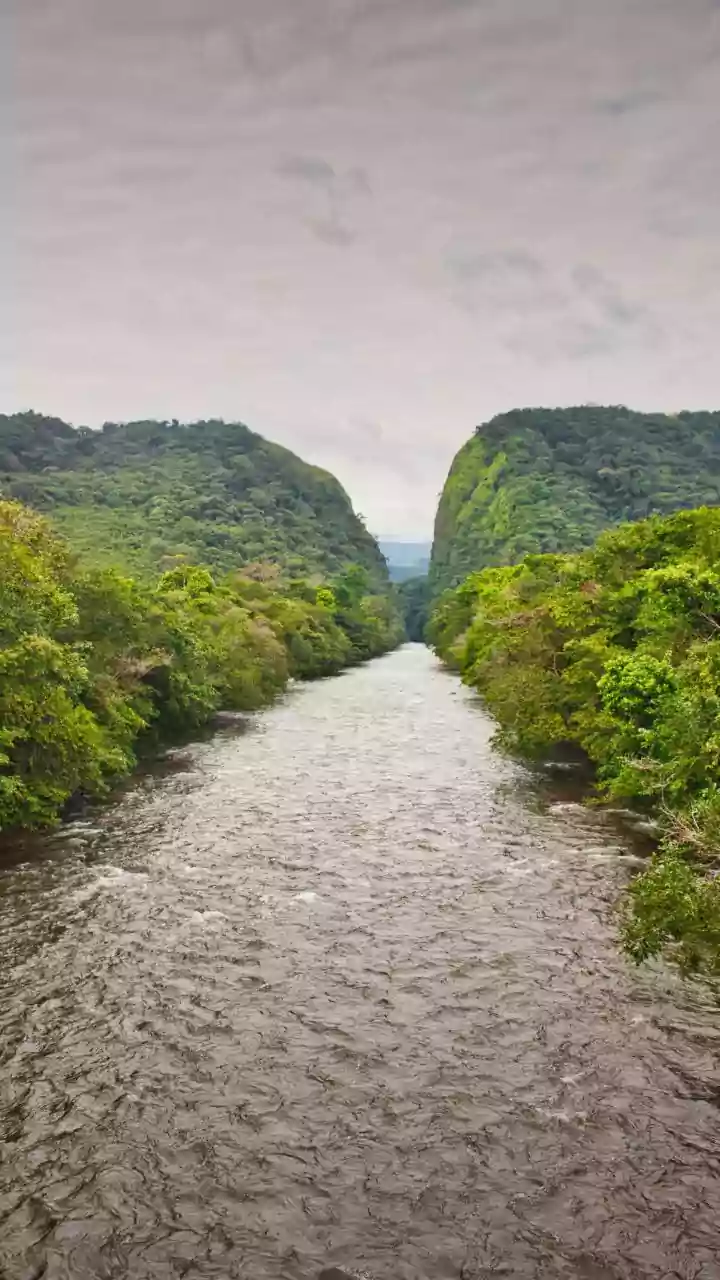 Assam's Monsoon Magic Continues To Attract Eco-Conscious Visitors