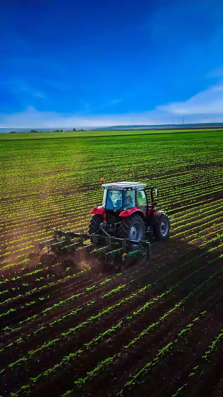 AI in Agriculture: Revolutionizing Farming by Bridging the Information Divide