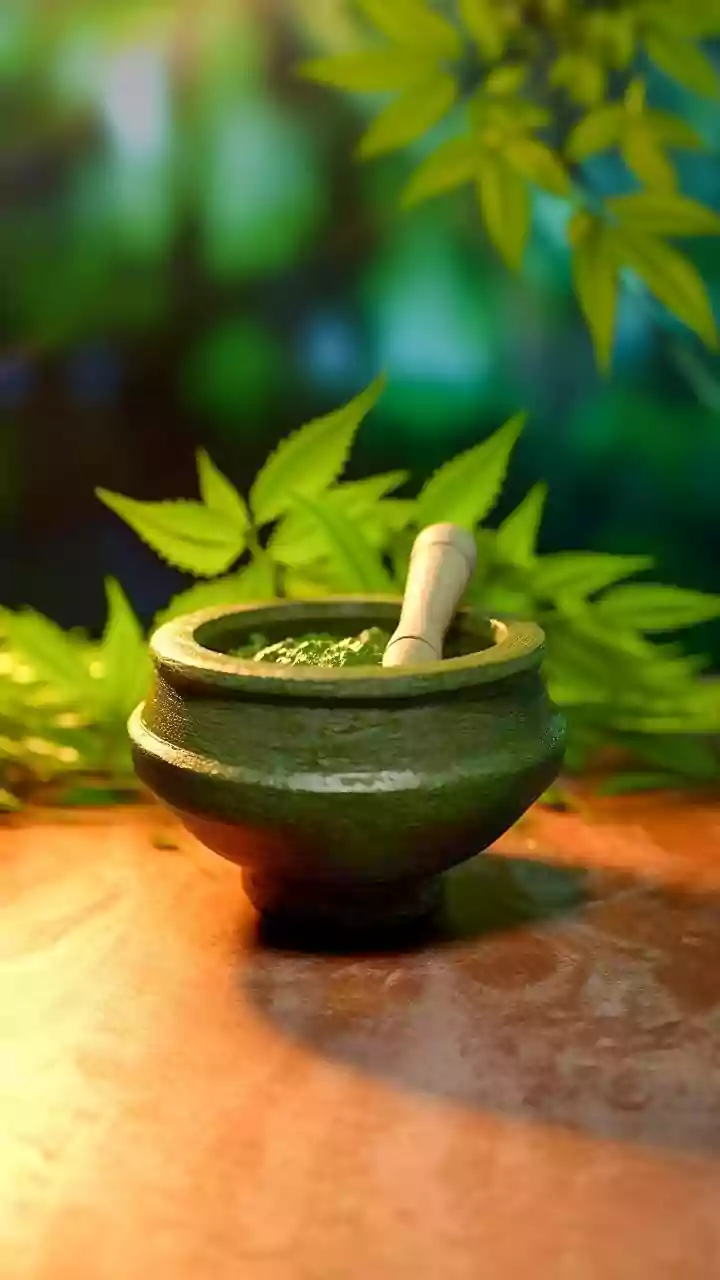 Ayurveda Helps Emotional Health, Experts Say