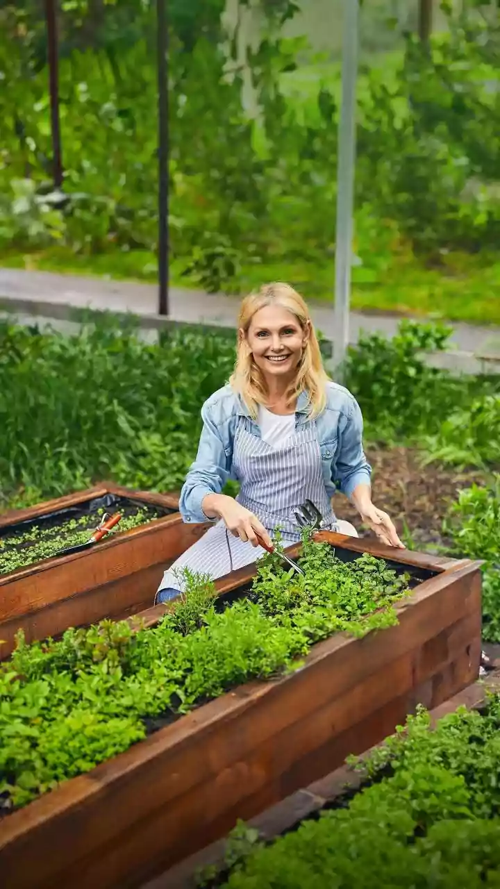 What The New Small-Space Gardening Trend Shows About Kitchen Corners With Greenery