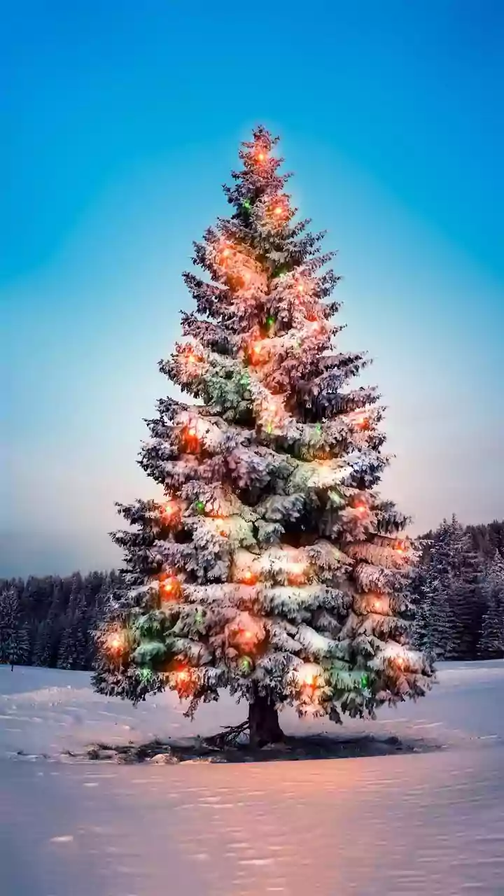 History Today: When the Christmas tree was decorated with electric lights for the first time