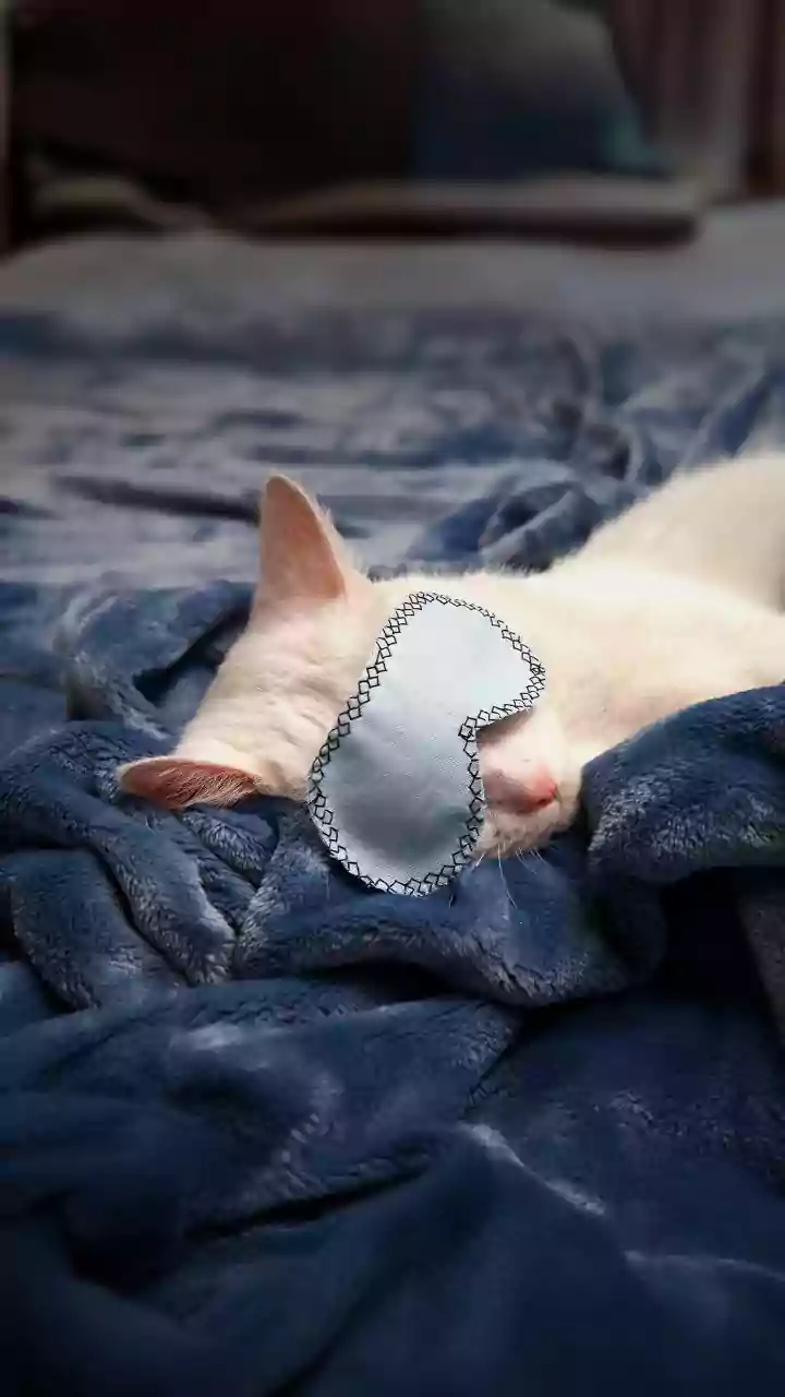 Dormir pouco pode estar destruindo seu treino