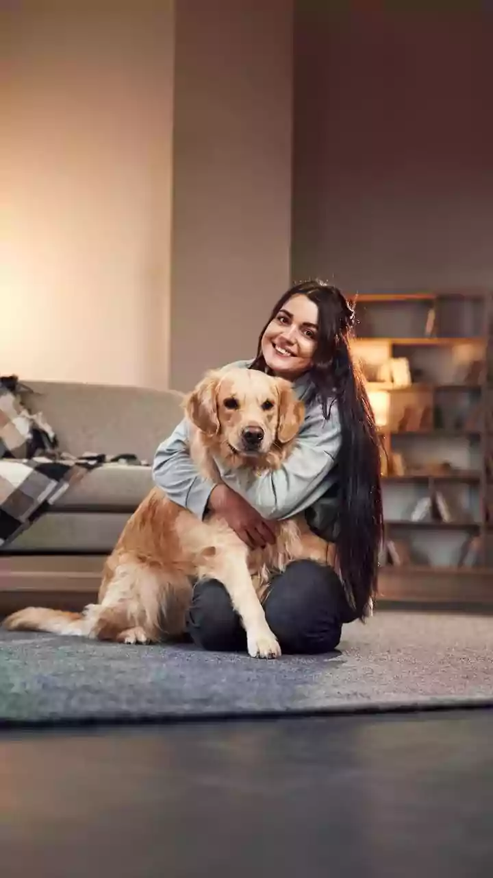 Pet Friendly Cafés With Dedicated Play Zones Rule Weekend Hangouts