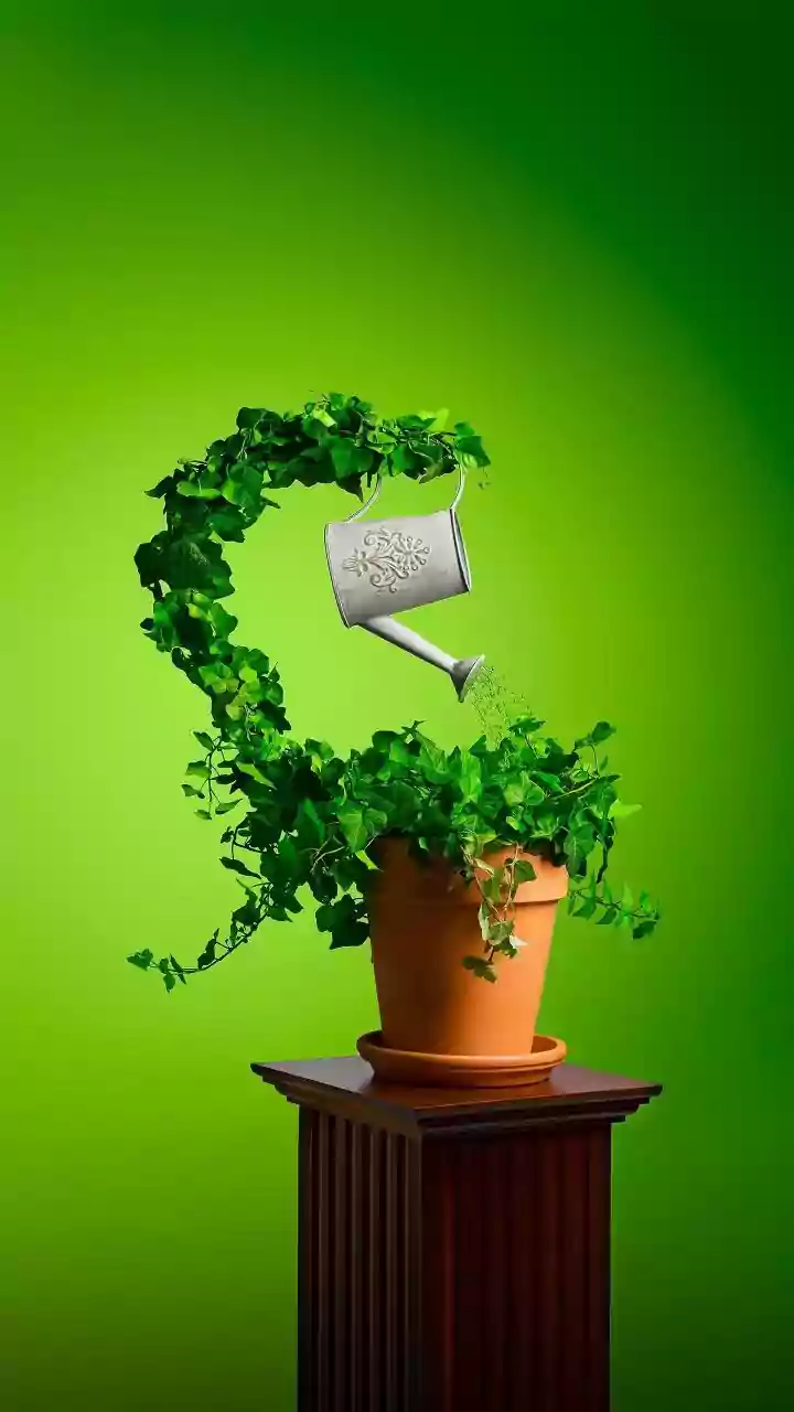 Self-Watering Containers Offer A Practical Hack For Plant Care Beginners