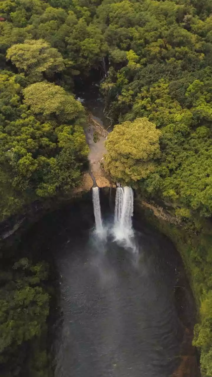 Wettest Places On Earth Deliver Genuinely Unmatched Landscape Architecture