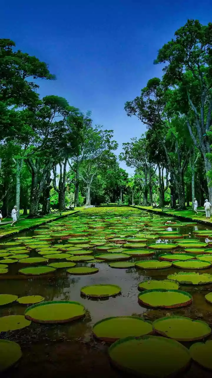 Ancient Pollen Beneath a Chhattisgarh Lake Makes Lake Sediments Part of Ancient Monsoon Research