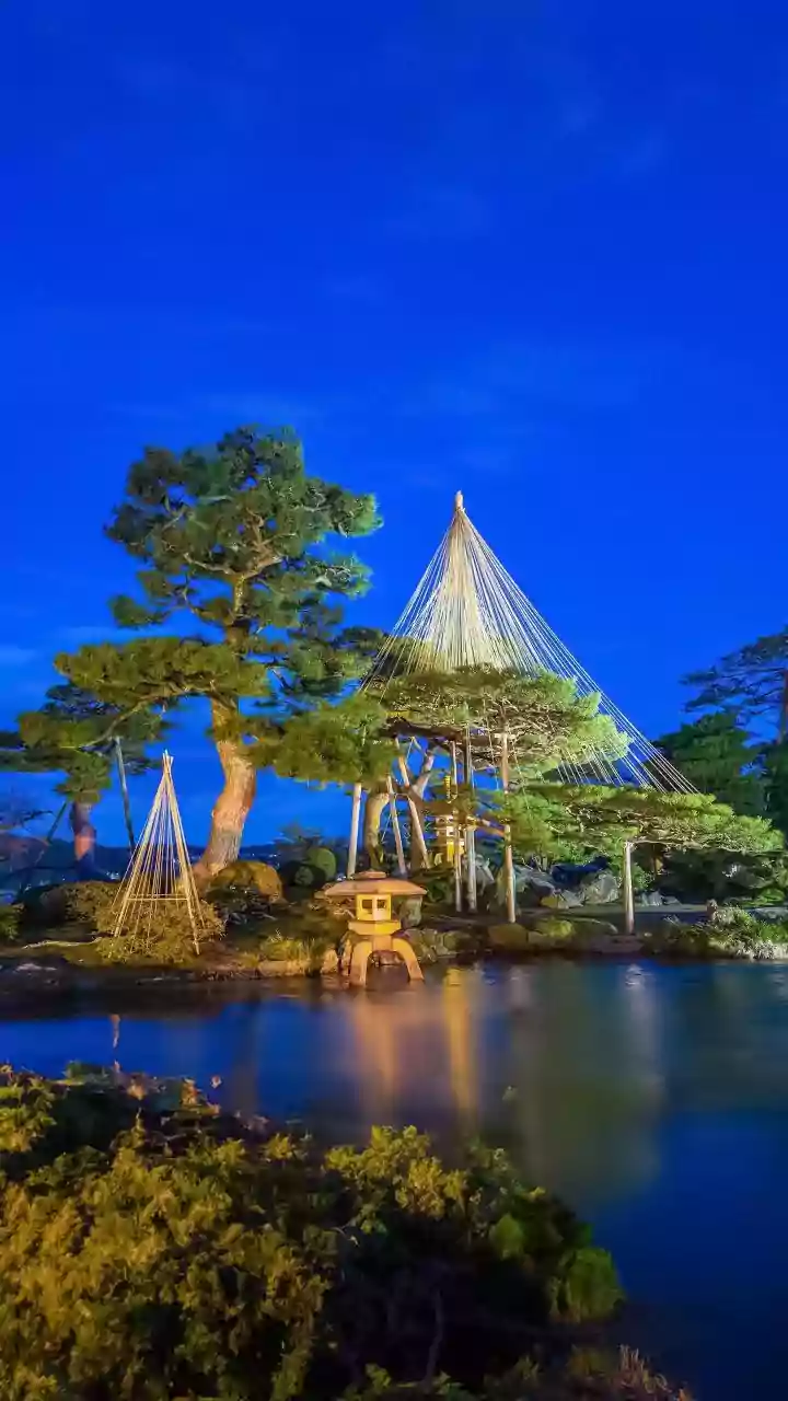 Why Japan Urban Parks Are Famous For Offering Instant Calm Amid Metro Chaos