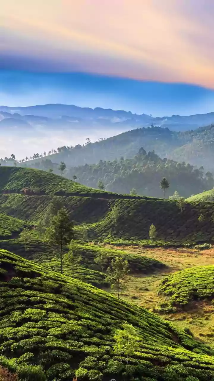 Munnar 19°C dawn vs Madurai 36°C noon: same state, two summer Indias