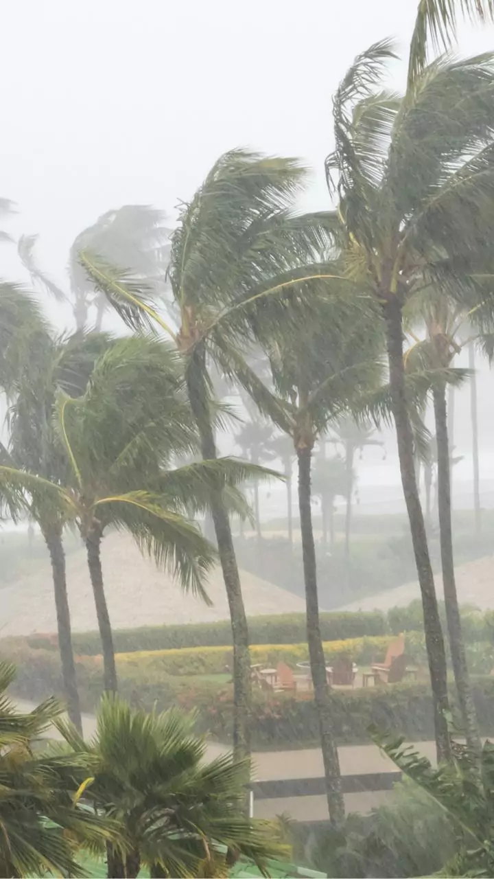 Andhra govt failed to support cyclone-hit farmers: Jagan