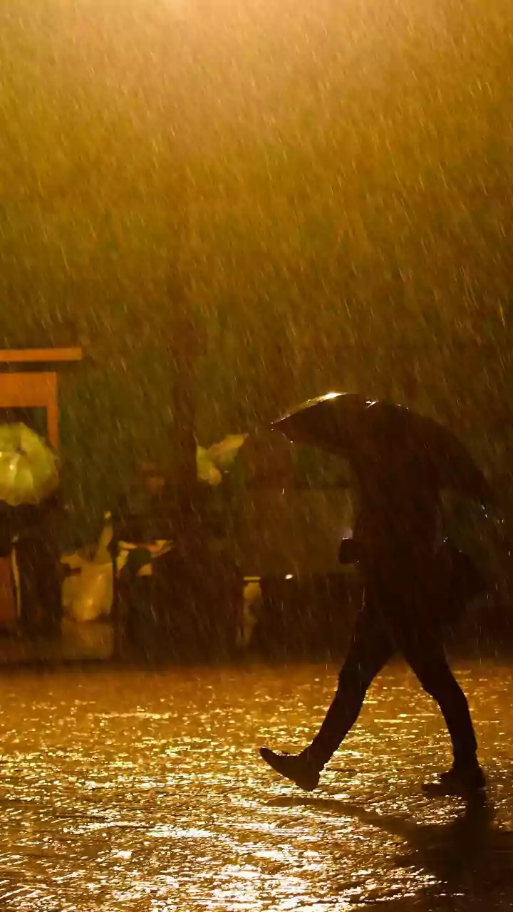 Your Home Needs This Rainy Season Check
