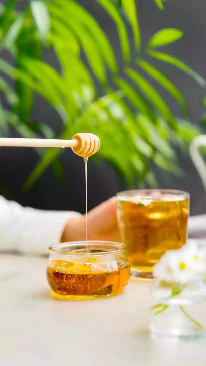 Haryana targets to raise honey production to 15,500 metric tons by 2030