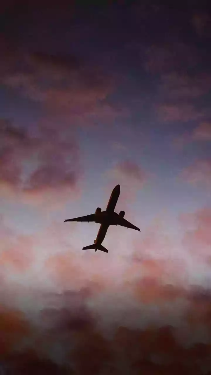 Fare alerts for mid week departures reduce domestic flight expenses by 30 percent