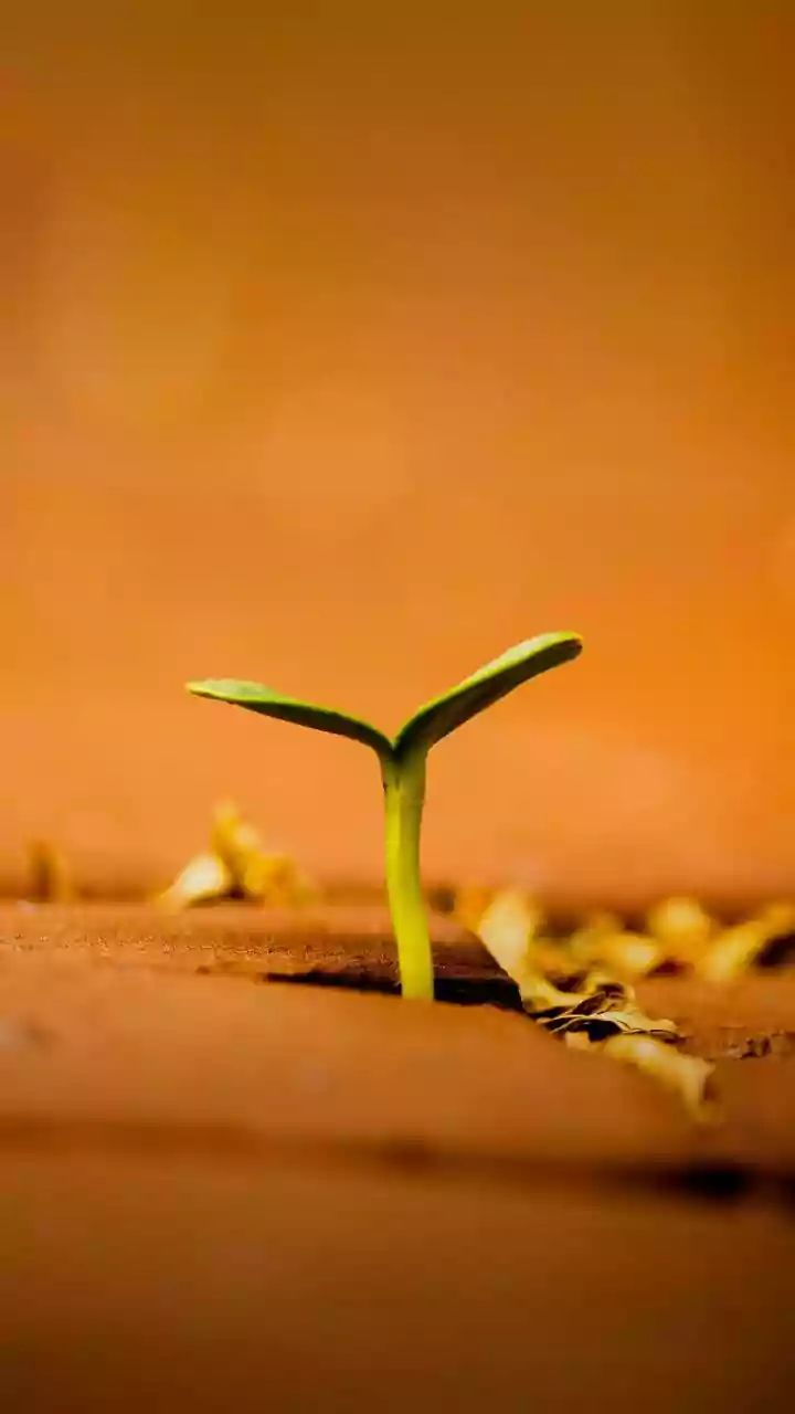 Navigating Personal Growth: Challenges and Triumphs