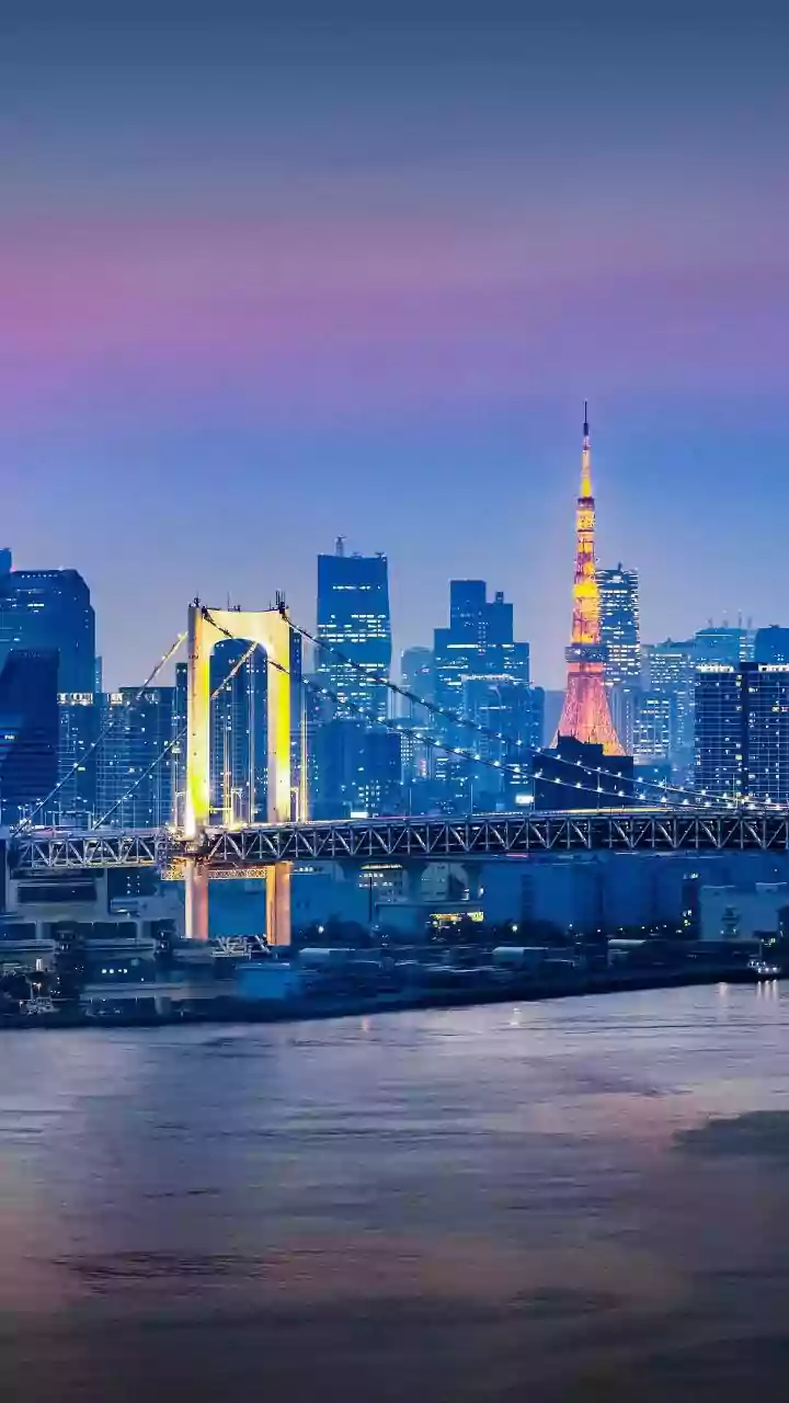 Japan's LDP Coalition Secures Lower House Majority, Paving Way for Right-Wing Agenda