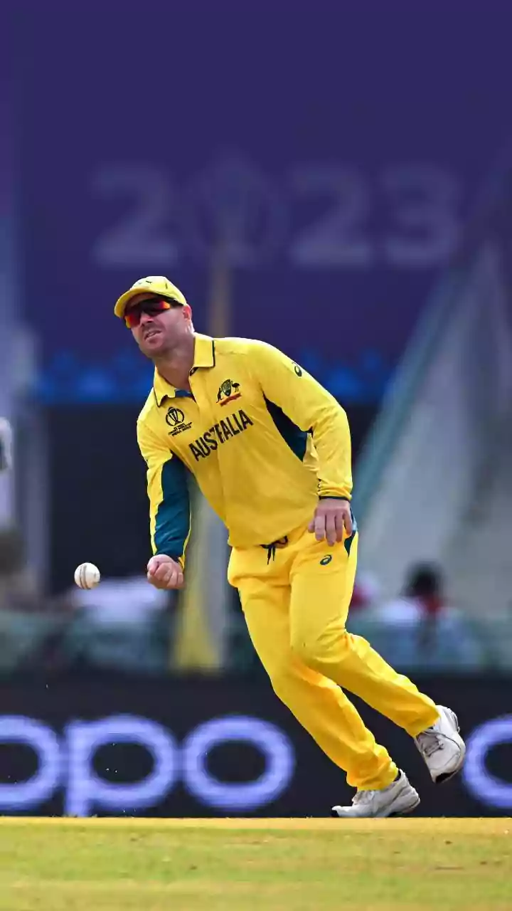 T20 World Cup: Top 10 Most Catches By A Player In Tournament's History- Only 1 Indian In List