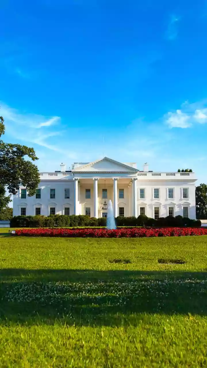 Trump Turns White House Lawn Into UFC Arena For Birthday Fight Night | WATCH