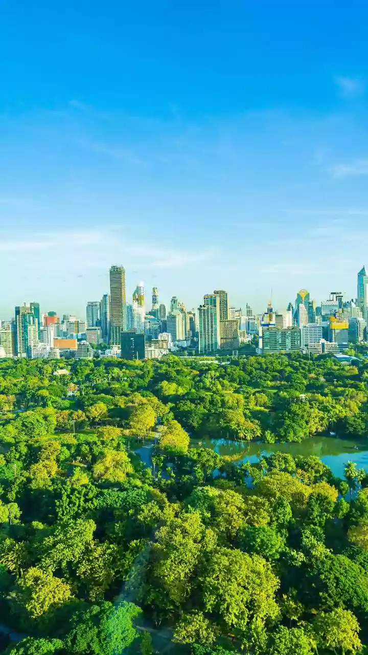 Delhi's Toxic Air: Urban Forests as a Solution?