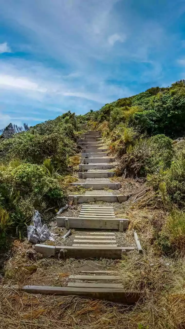 Slippery Paths Need Shorter Steps and Fewer Sudden Turns