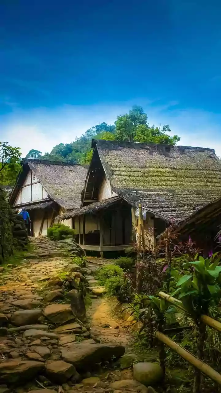 Experiential Travel Surge: Why Rural Homestays Are Gaining Popularity Among Indian City Dwellers