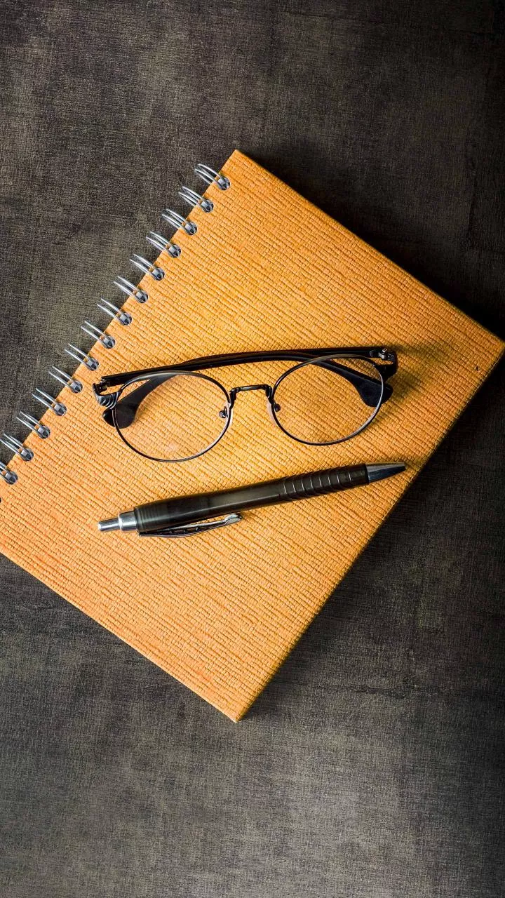 Publication and training activities related to SIR of voter lists begin in Chhattisgarh