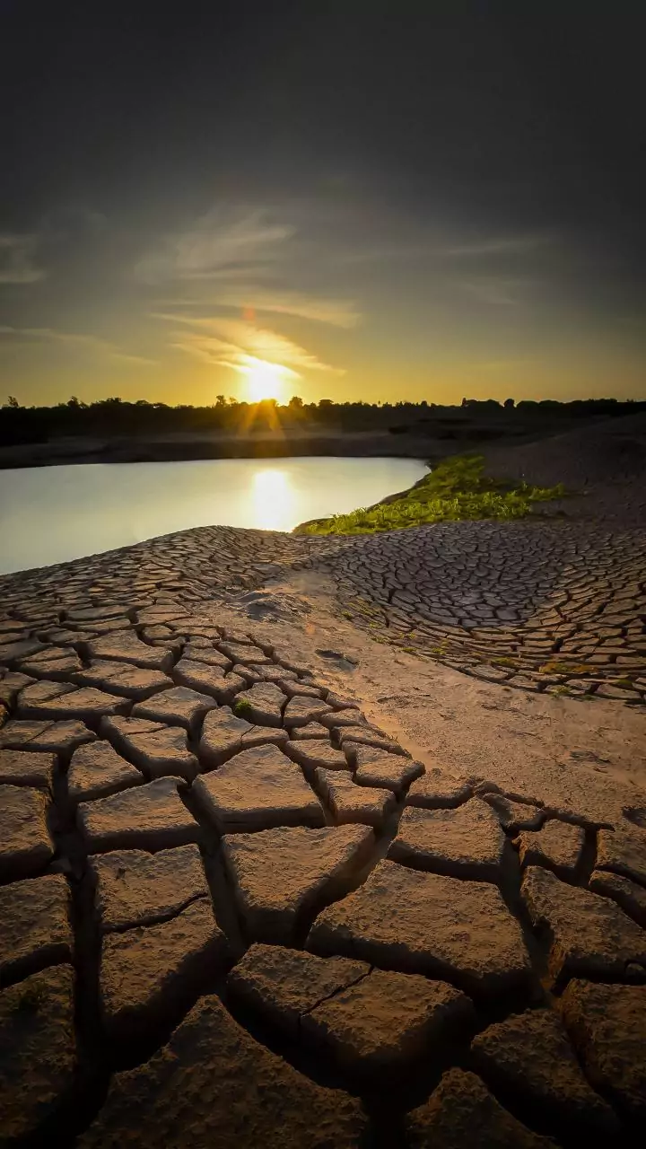 41% of world could face extreme heat by 2050, says study