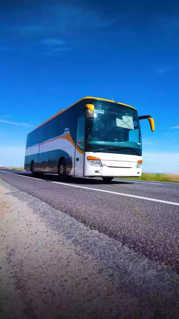 Israeli tourists among 9 injured in Tamil Nadu bus accident