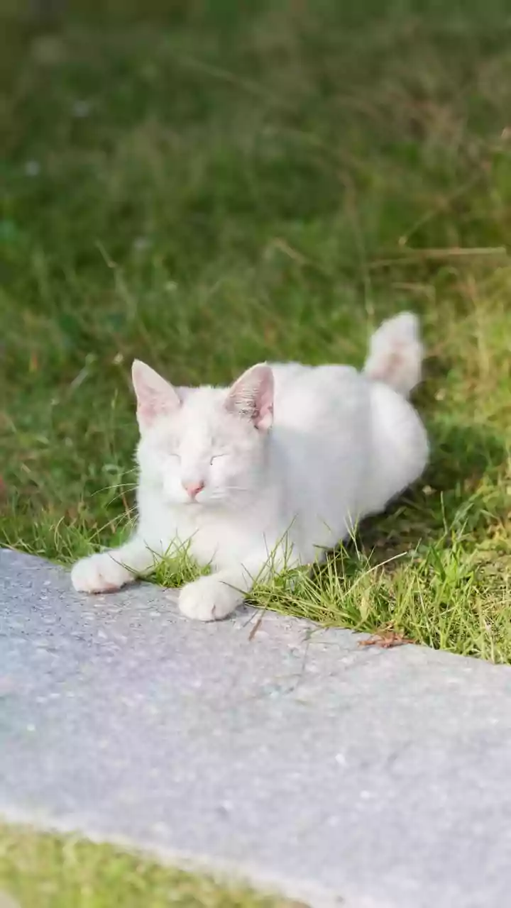 Voting feels more tiring than expected—heat exposure adds extra physical strain