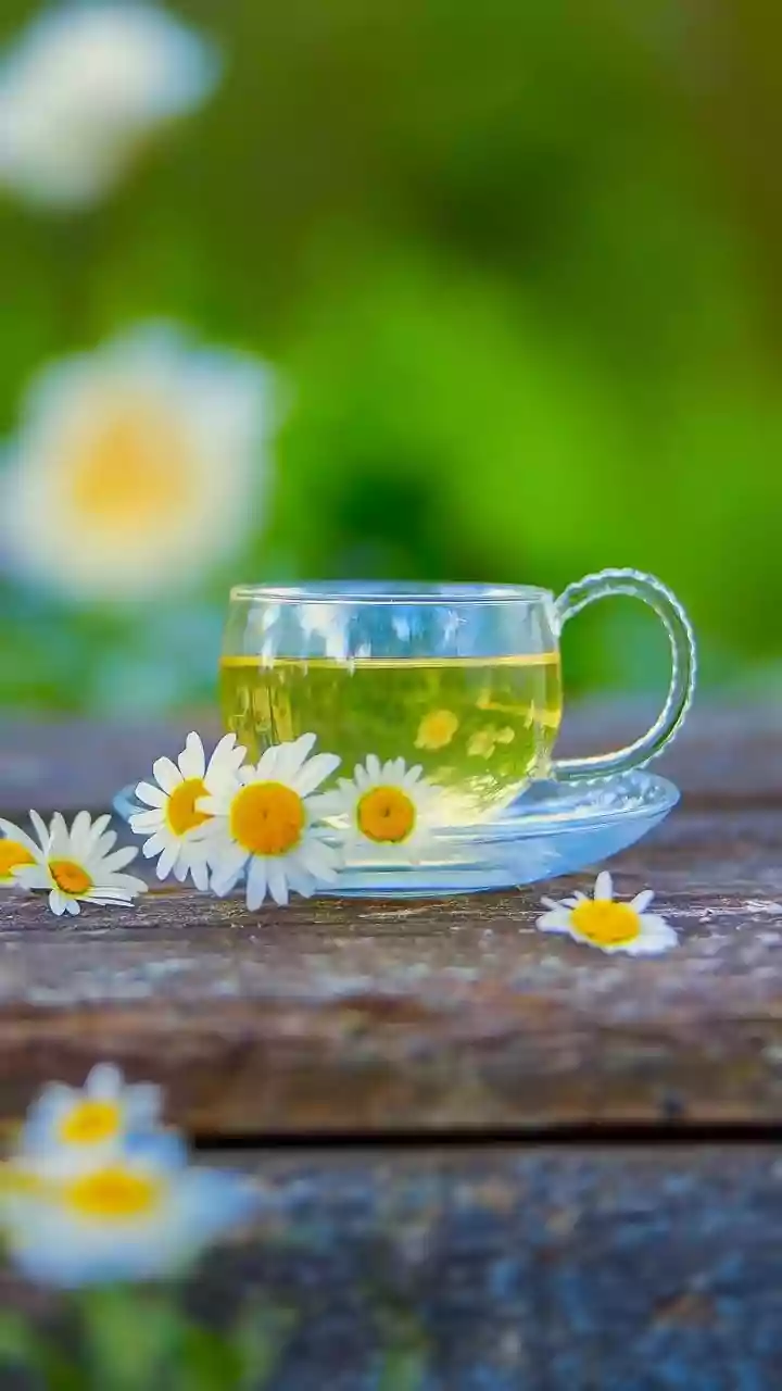 Chamomile Tea: Benefits for a Month of Sleep