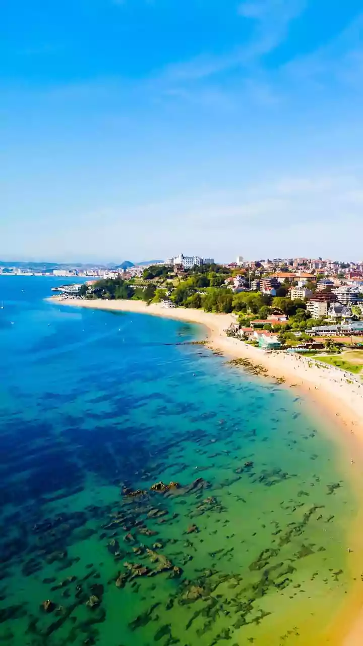 Are suspects in Bondi Beach shooting from India or Pak? Here's what Australian PM revealed