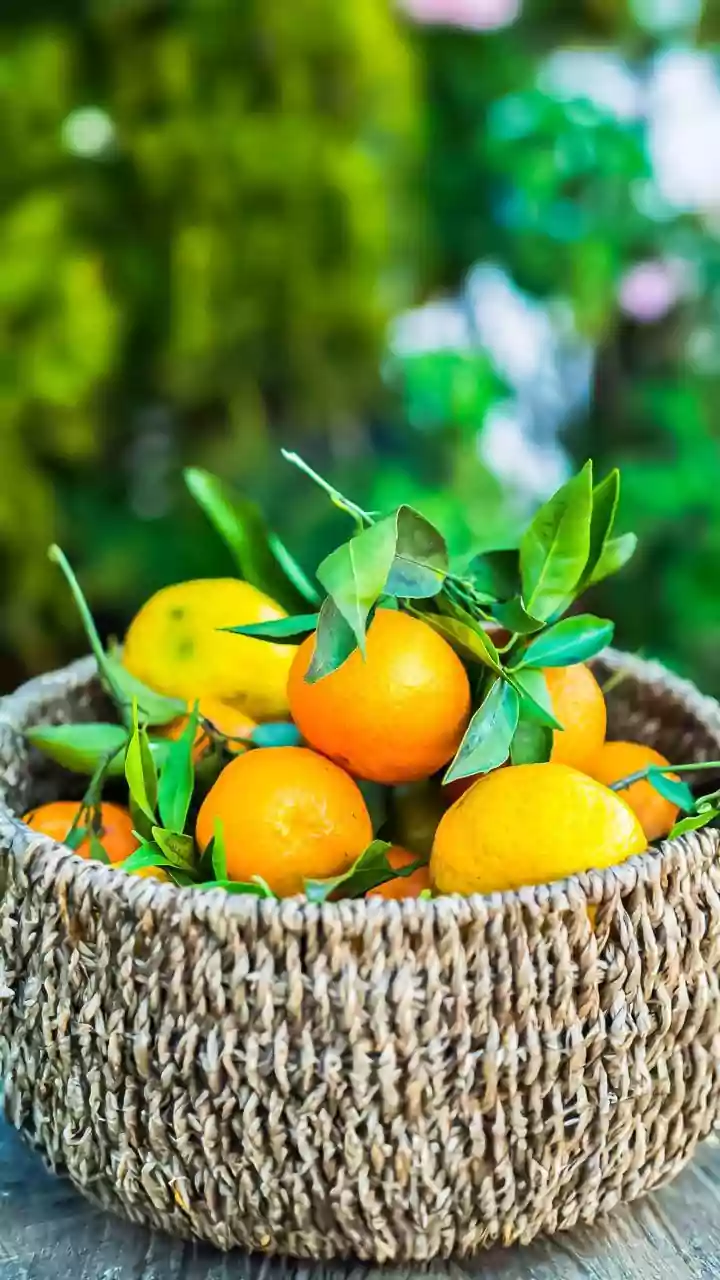 Plant Based Dieters Can Double Mineral Absorption By Pairing Citrus Fruits With Leafy Greens Daily