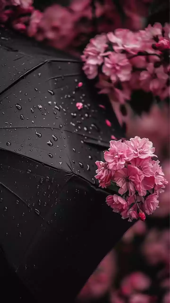 IMD warns of severe rain and cold wave in six states till Nov 15; snowfall likely in hills