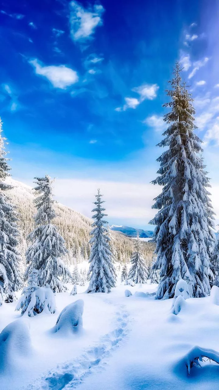 Heavy snowfall in Himachal Pradesh leaves tourists stranded