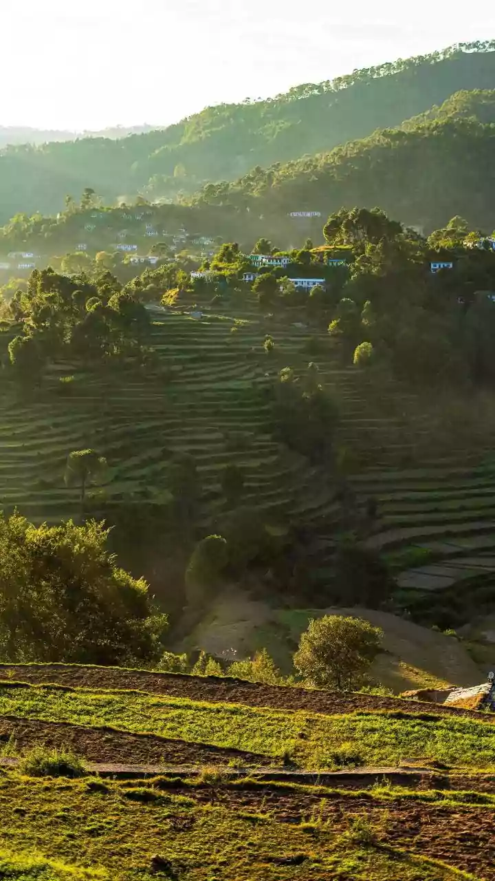 Centre releases over Rs 723 crore for rural bodies in Rajasthan and Jharkhand