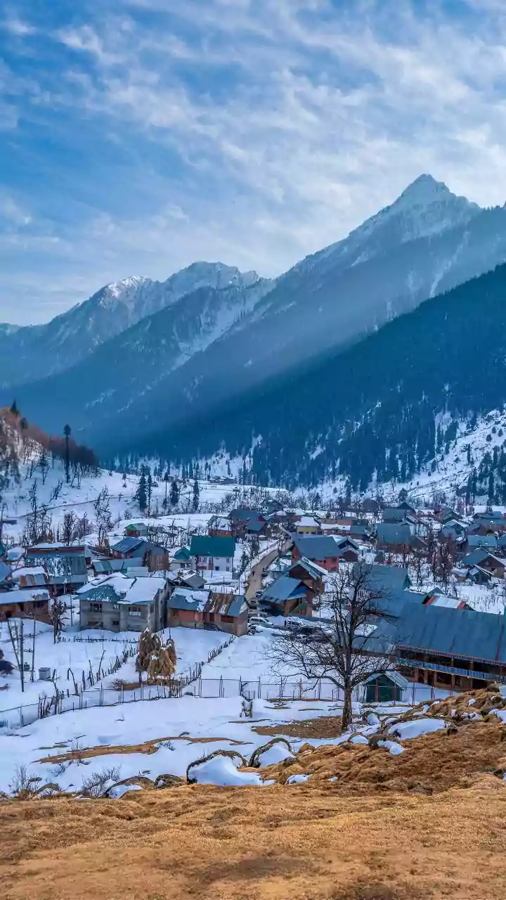 JK: PDP nominee takes unassailable lead in Budgam bypoll, NC candidate trailing