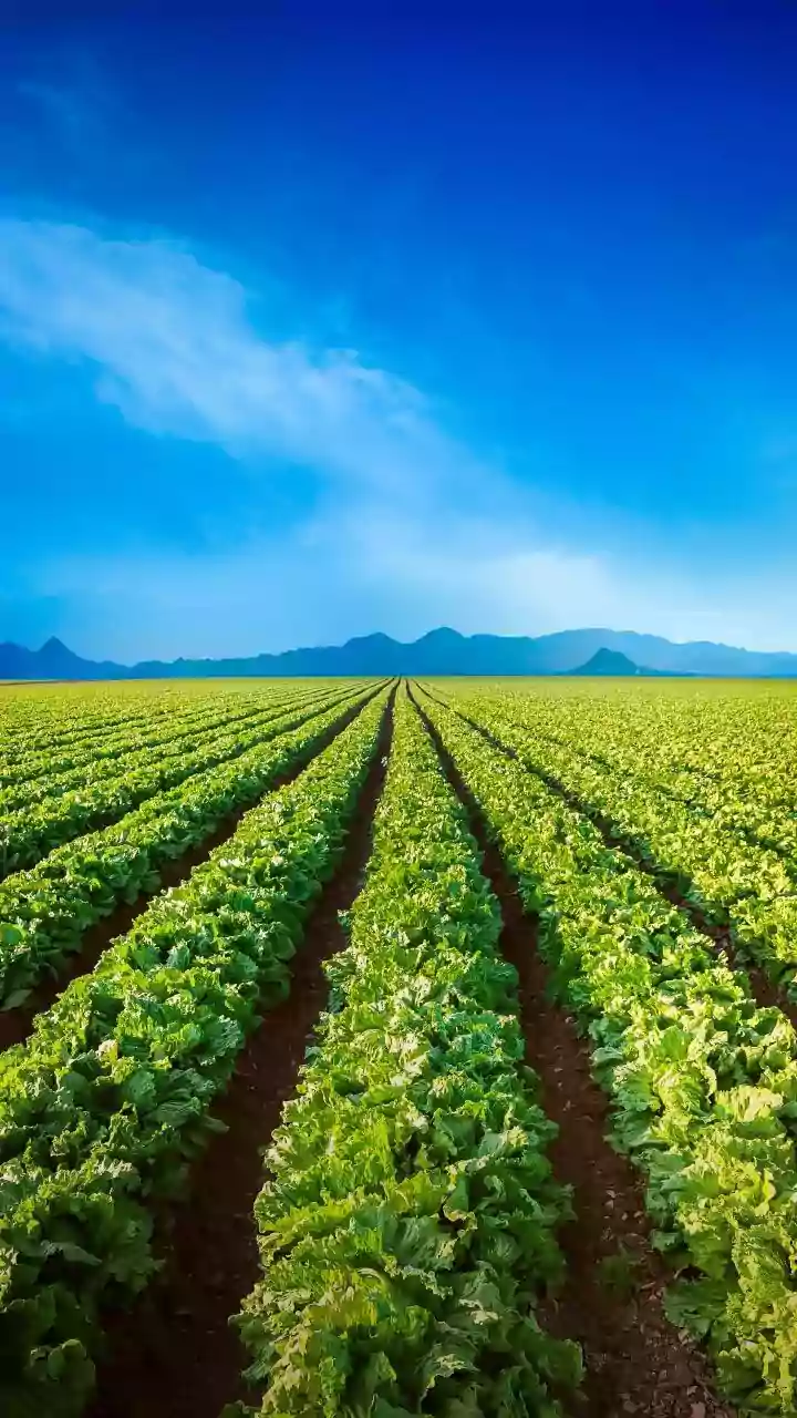 Union minister Chouhan bats for integrated farming methods