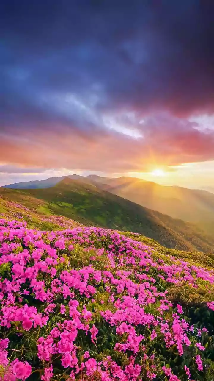 What Is ‘Dusking’? The Travel Trend Turning Sunsets Into The Main Event