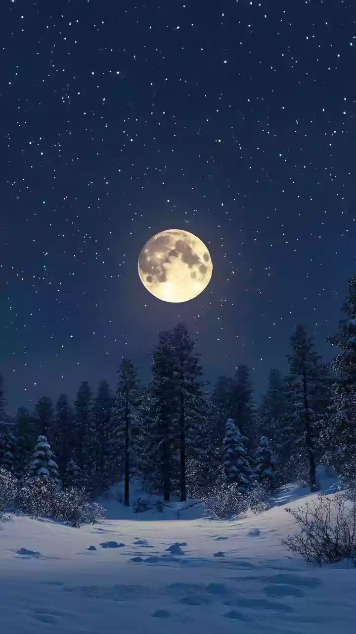 Tome & Plume: Stopping By Tropic Of Cancer On A Moonlit Winter Evening